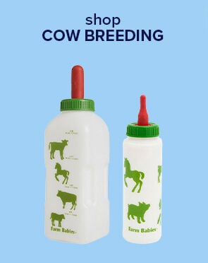 Cow Breeding